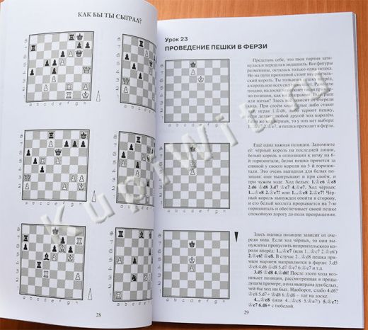 Для 2-го года обучения, книга 2