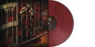 AUTOPSY NIGHT - Gradual Decay ltd. 100 marbled red black clear