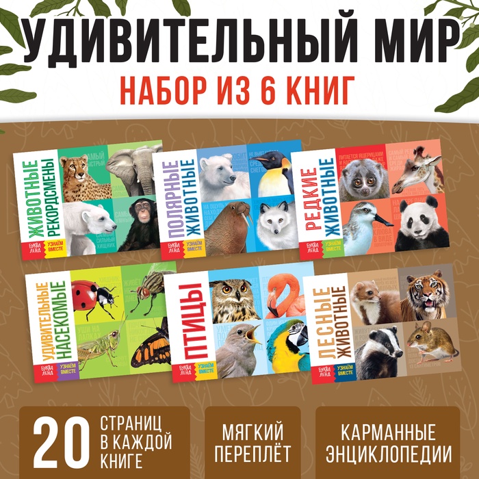 Обучающие книги набор «Удивительный мир» 6 шт. по 20 стр.