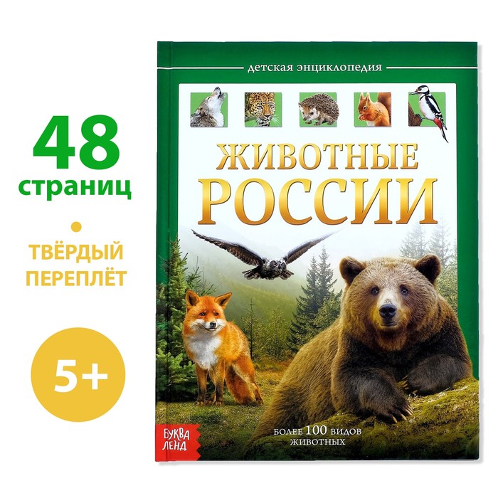 Энциклопедия детская в твёрдом переплёте «Животные России», 48 стр.