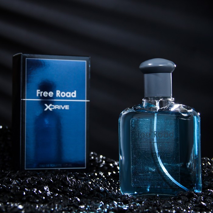 Туалетная вода мужская X-Drive Free Road, 100 мл (по мотивам Bleu de Chanel)