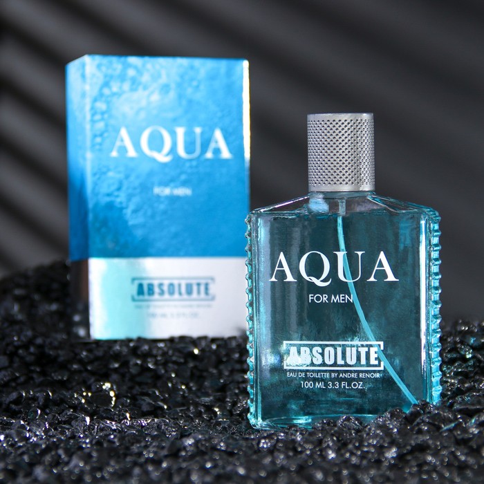 Туалетная вода мужская Absolute Aqua, 100 мл (по мотивам Acqua Di Gio (G.Armani)