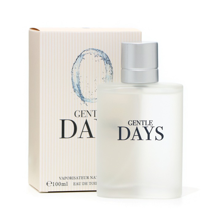 Туалетная вода мужская Gentle Days, 100 мл