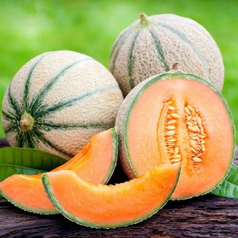 Дыня Шарентэ, 50шт семян