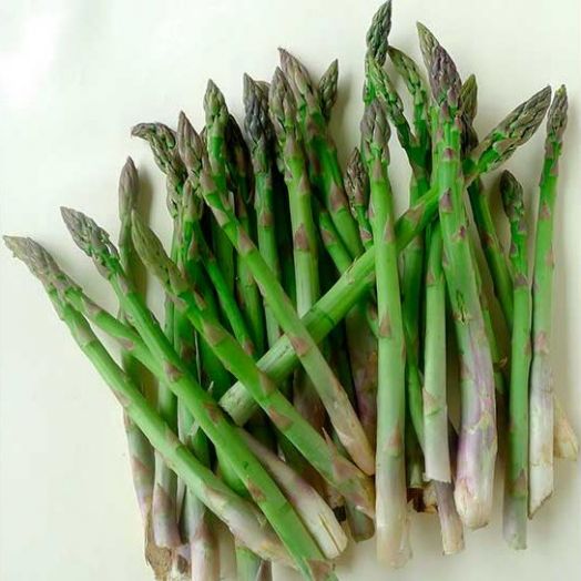 Спаржа Аржентельская, 1г семян