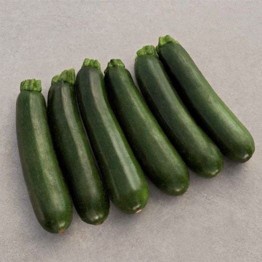 Кабачок МОДЕНА F1,250 семян