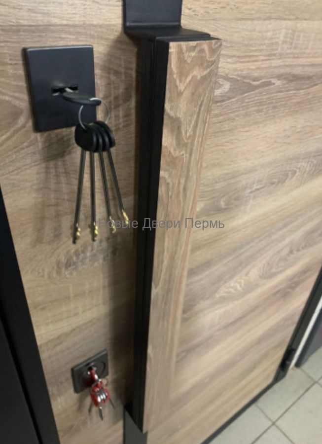 Уличная дверь Royal Nord Термо