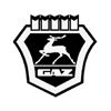 GAZ (краска в баллонах)