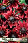 Rudbekiya-Sherri-Brendi-CHERRY-BRANDY-1-sht