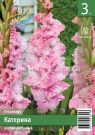 Gladiolus-gofrirovannyj-KATeRINA-10-12-3-sht