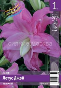 Лилия Лотус Джой (LOTUS JOY), 1 шт, 12/14, Восточные гибриды махровые