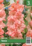 Gladiolus-Tomsk-gofrirovannyj-10-12-3-sht