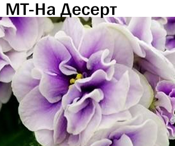 МТ-На Десерт (Тотиева)  НОВИНКА