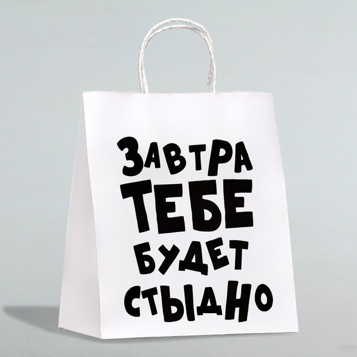 Пакет подарочный «Завтра тебе будет стыдно», 24 х 10,5 х 32 см