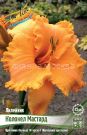 Lilejnik-Kolonel-Mastard-Hemerocallis-Colonel-Mustard-1-sht