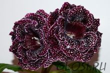 ЕН-Черри Берри (сел.Е.Николаева)