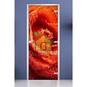 Стеклянная межкомнатная дверь с фотопечатью DW «Flowers-04»