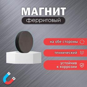 Магнит технический (магнитит на обе стороны) 25х5 мм