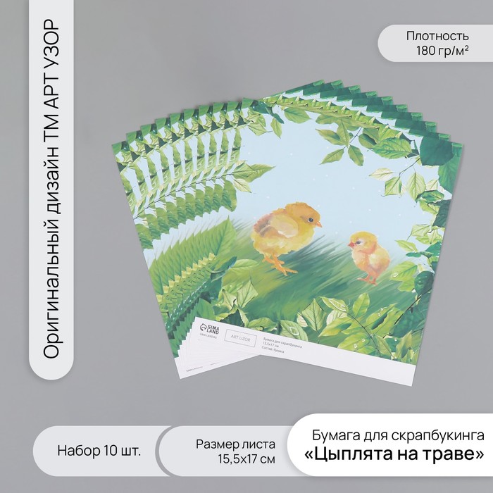 Бумага для скрапбукинга "Цыплята на траве" плотность 180 гр набор 10 шт 15,5х17 см