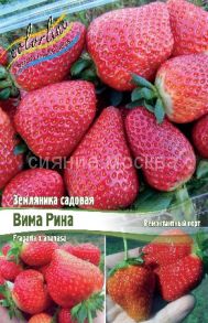 Земляника садовая Вима Рина (VIMA® RINA) (фриго), 5 шт