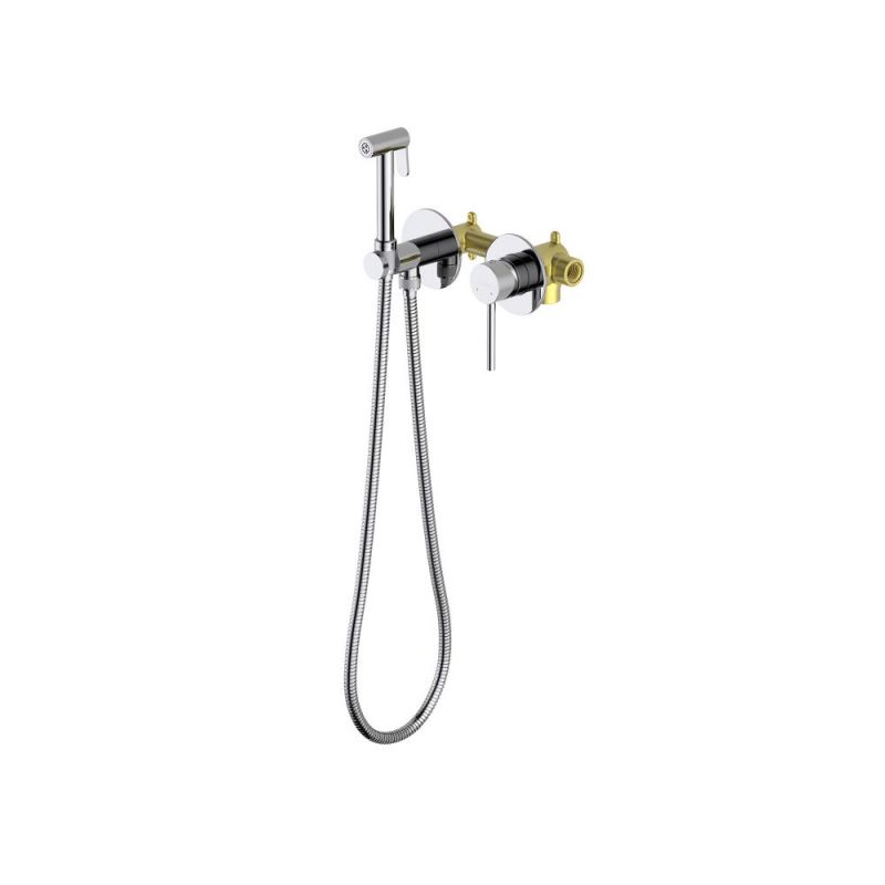 Комплект для гигиенического душа встроенный 2 отв. AQUATEK AQ1319CR ЕВРОПА
