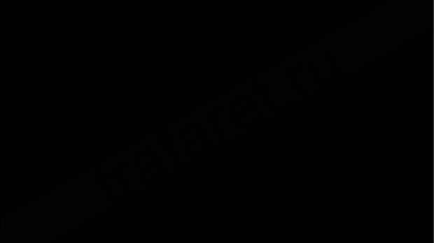 Краска пластизолевая PS2035 Black (10 кг.)