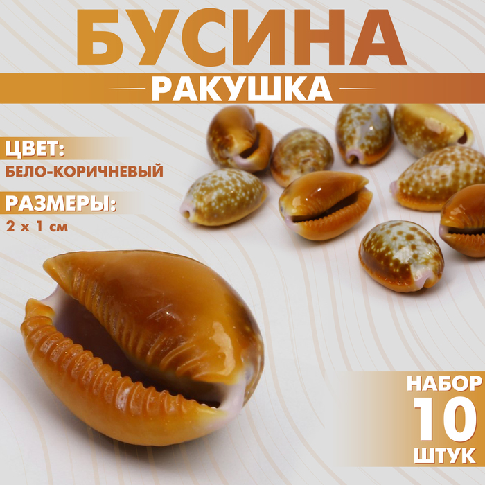 Бусина «Ракушка», 2?1 см, гладкая. (набор 10 шт.), цвет бело-коричневый