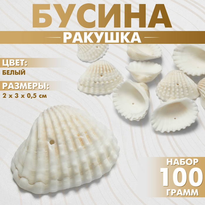 Бусины «Ракушка», 3?2 см, половинка, набор 100г, цвет белый