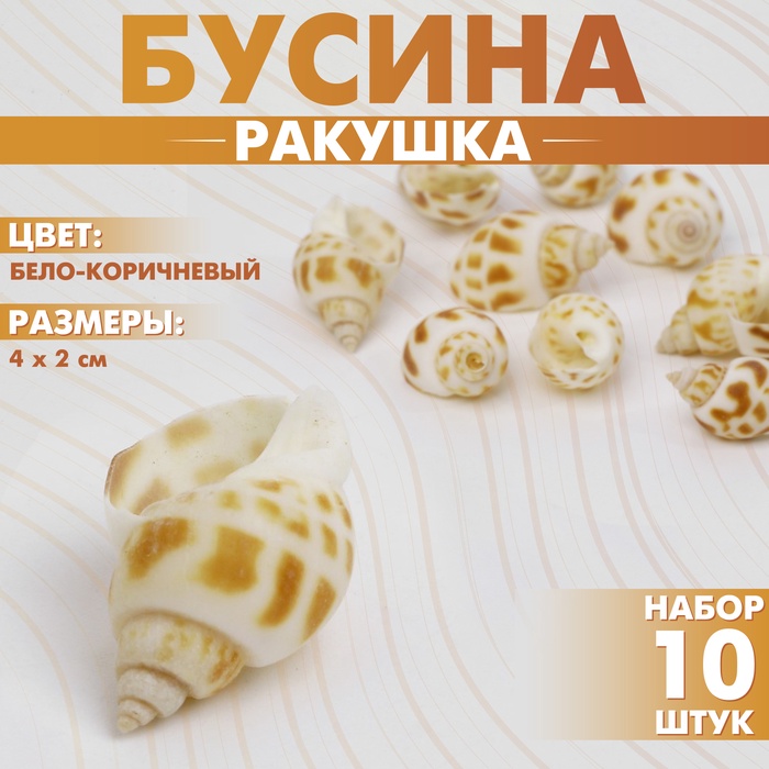 Бусина «Ракушка» рельефная, 4?2 см, (набор 10 шт.), цвет бело-коричневый