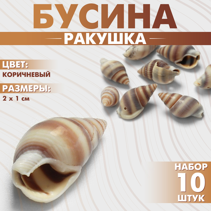 Бусины «Ракушка» 2?1 см, завиток, набор 10 шт., цвет коричневый