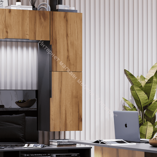 Пенал 2-ств "Моника" Дуб золотистый/Тёмно серый