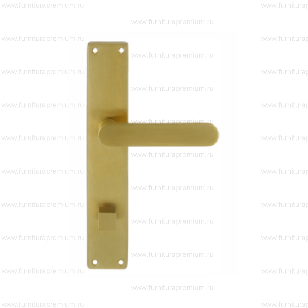 Ручка на планке Extreza Hi-Tech Jemma 116 WC PL13