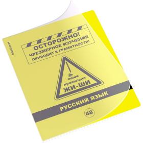 Тетрадь предметная РУССКИЙ ЯЗЫК, 48 листов в линейку, ErichKrause Be Informed, пластиковая обложка, шелкография, блок офсет 100% белизна, инфо-блок