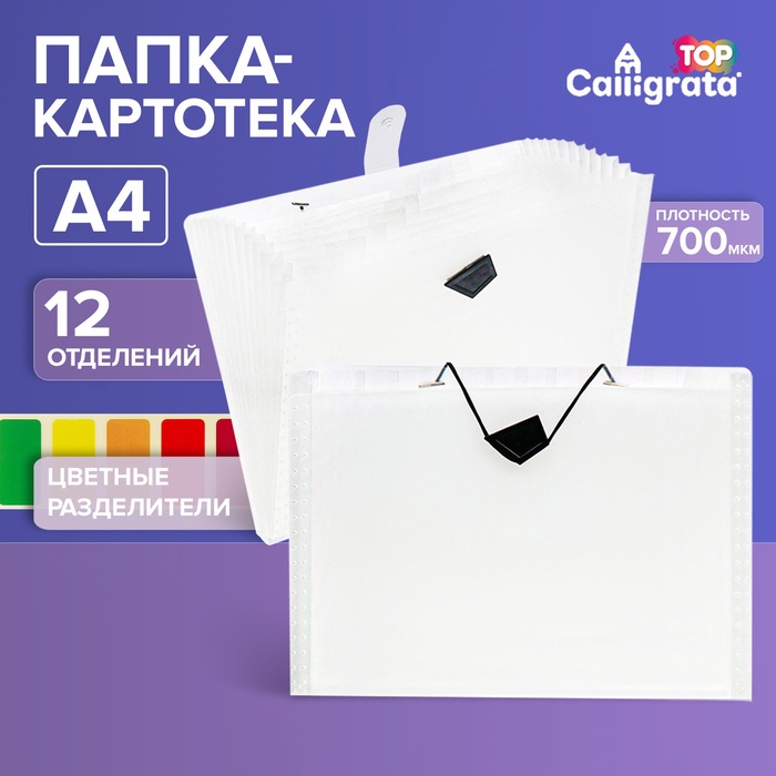 Папка-картотека А4, Calligrata TOP DeLuxe, 12 отделений, 700 мкм, на резинке, белая с цветными разделителями