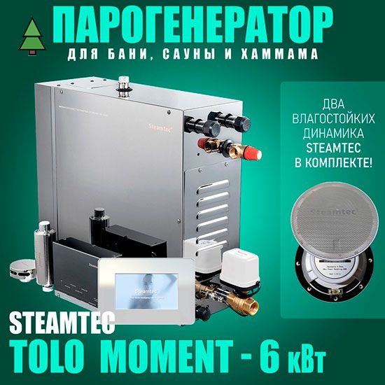 Парогенератор для хамама Steamtec Platinum TOLO MOMENT 60 - 6 кВт